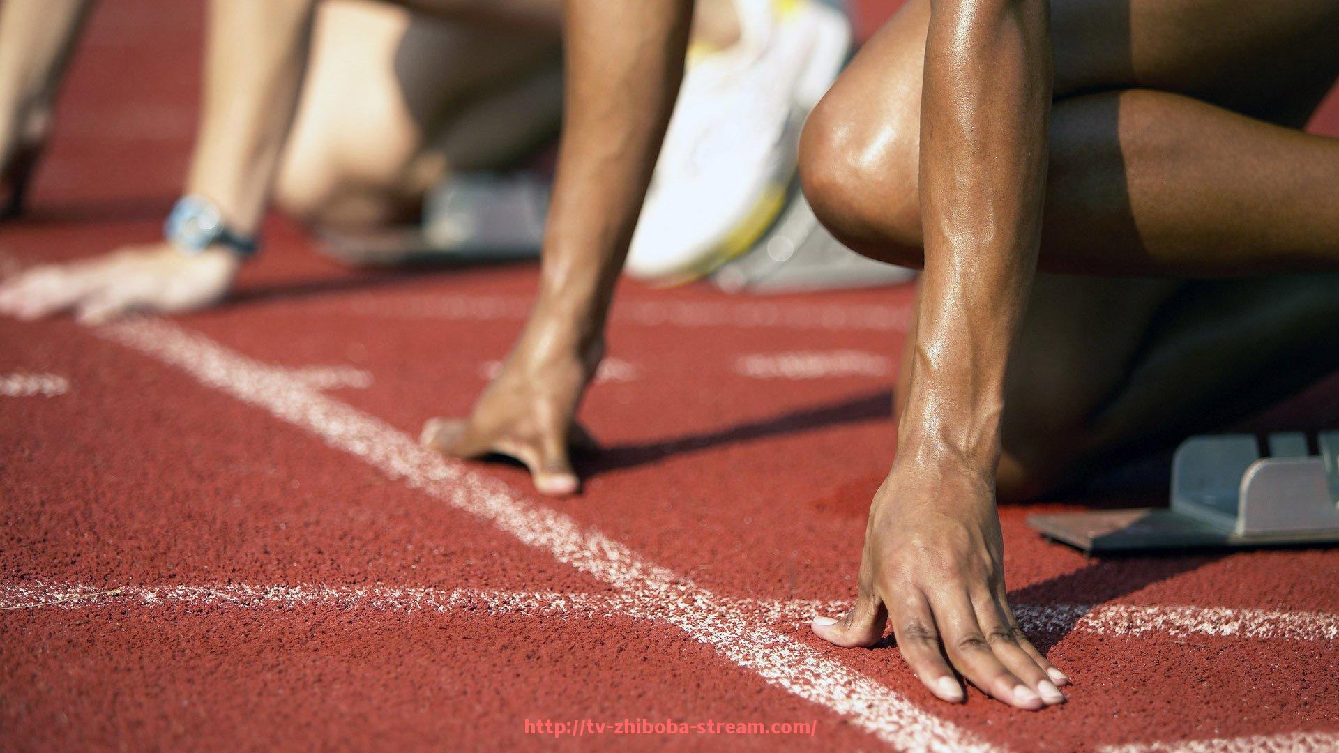 直播吧-火箭队主场球馆设施介绍与观赛体验攻略